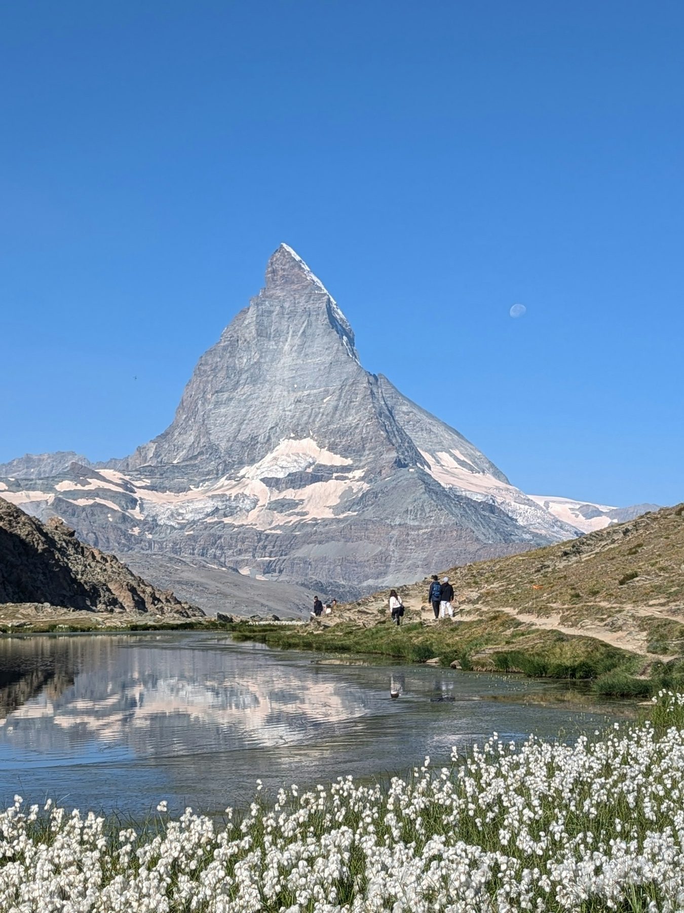 The Alps