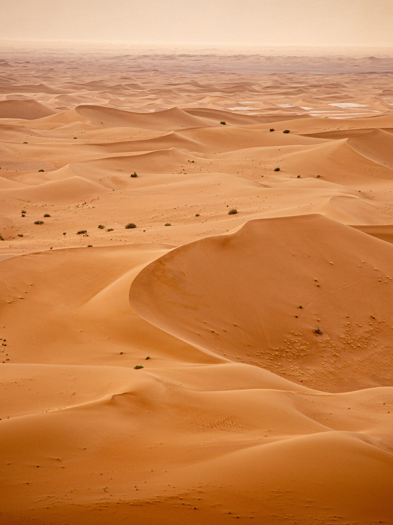 Sahara dunes