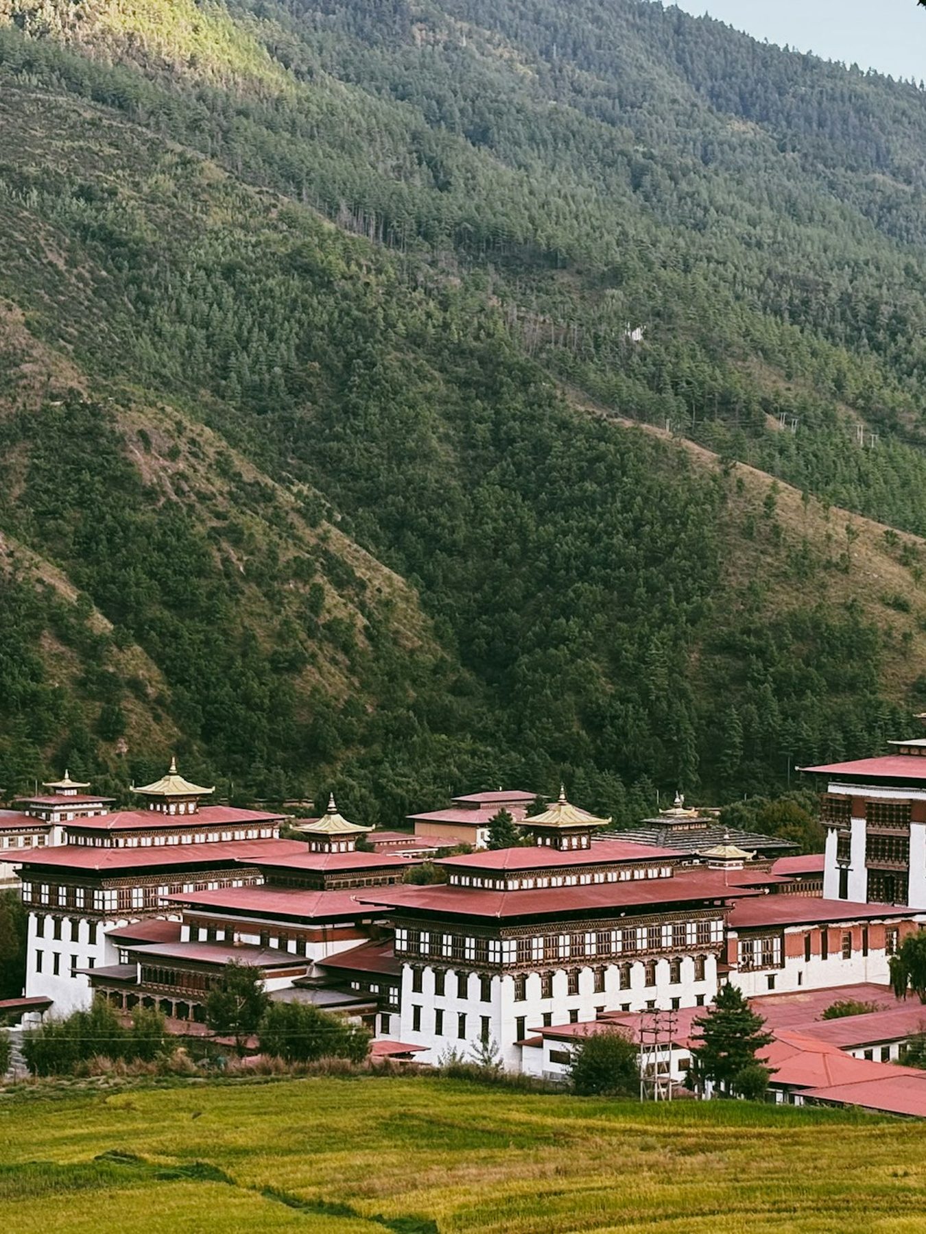 Tashichho Dzong, Thimphu