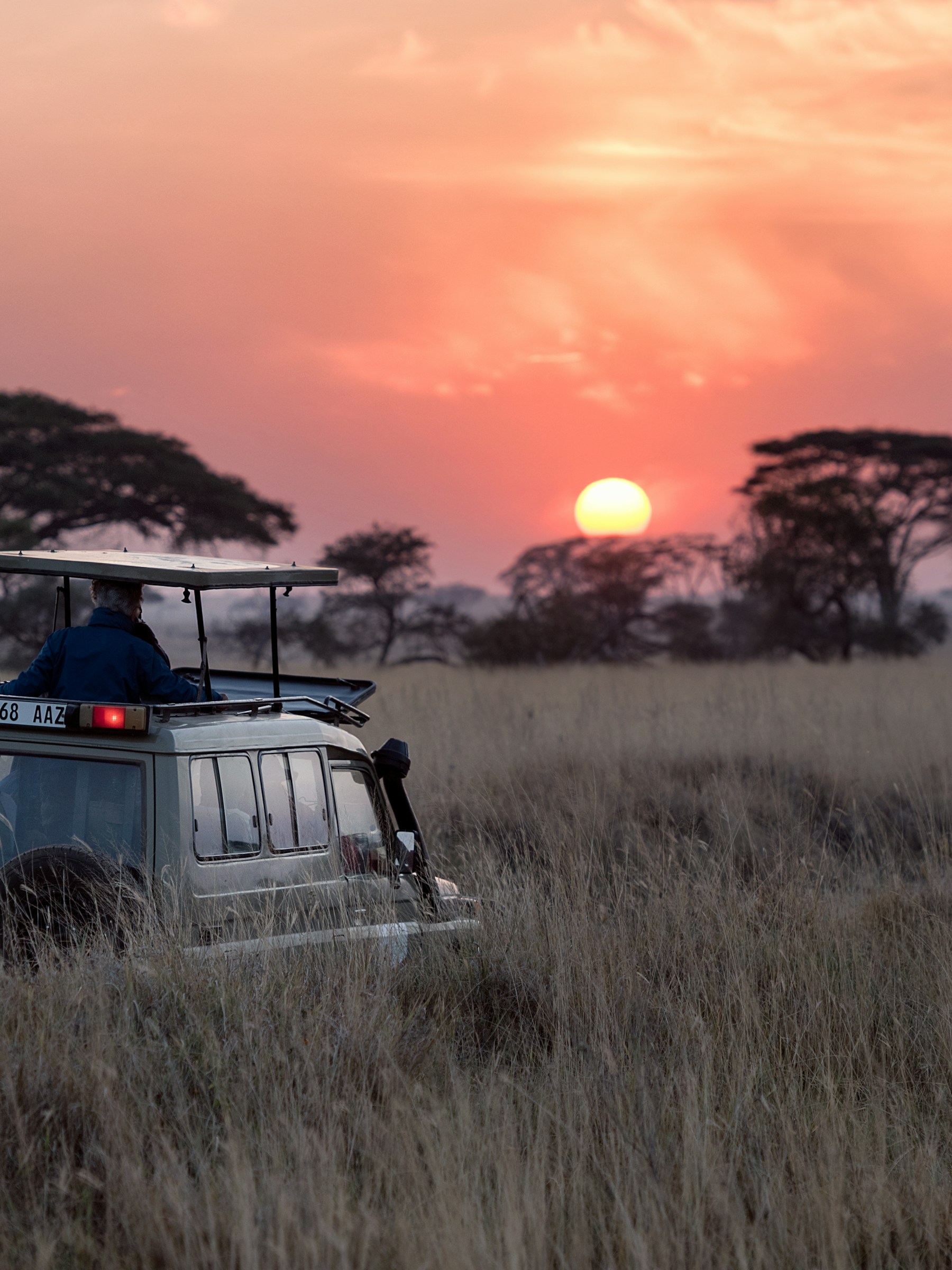 How I would actually do a first safari